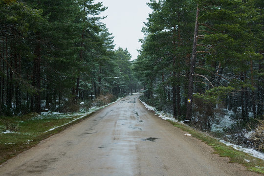 Falling snow in the mountains, road in the forest