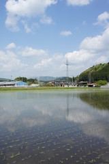 田植えの時期到来