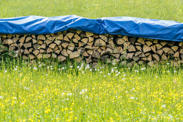Brennholzlager abgedeckt © focus finder