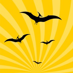 Pteranodon Dinosaur in the sky © sljubisa