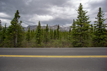 Naklejka premium Alaska bei Denali