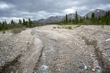 Alaska bei Denali