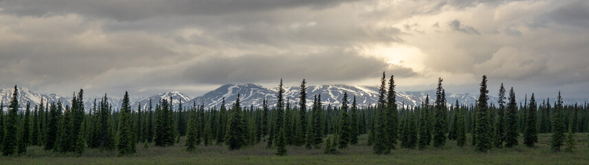 Alaska bei Denali