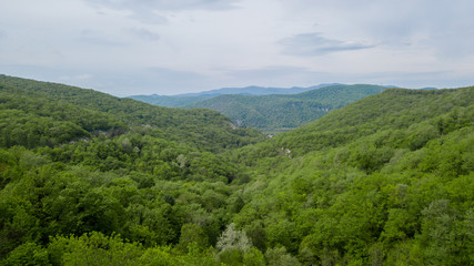Fototapeta na wymiar Beautiful Caucasian mountain landscape,, forest trees , South Russia.