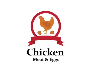 chicken vector illustration