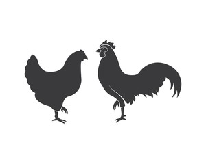 chicken vector illustration