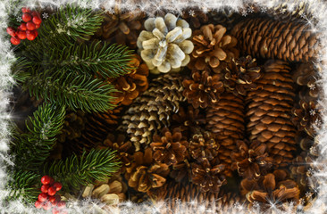 Christmas background with fir tree, red berries and fir cones. View with copy space.