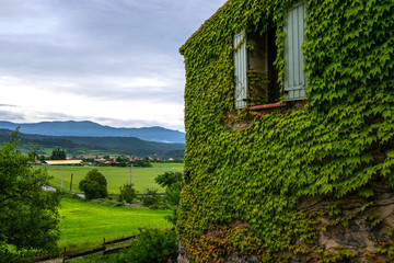 Fototapeta na wymiar Eco architecture. Old stone house with plants on the facade. Ecology and green living in countryside, environment concept. Old building covered green plant. Ecological concept.