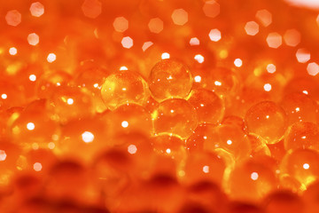 Brown trout's eggs macro