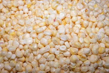   Corn seeds background 