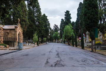 Fototapeta premium Perspective view of the road, graves and trees on the Montjuic Cemetery in overcast day, Barcelona, Catalonia, Spain