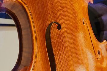 Violin without strings closeup detail