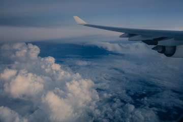 Fototapeta na wymiar Fügel über den Wolken