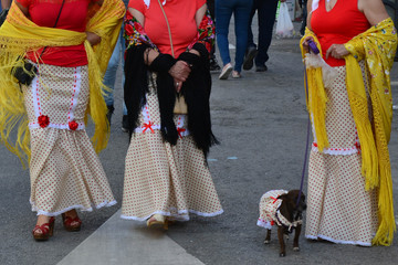 Festivities of San Isidro, Madrid, Spain
