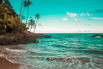 tropical beach and sea