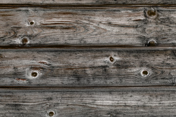 Old wood plank with knots texture background