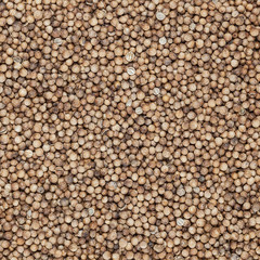 Close up of dried coriander seeds background