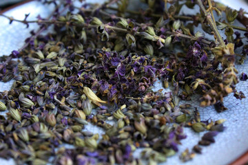 herbs dry flowers sage