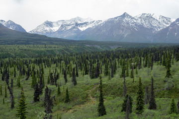 Alaska richtung Valdez