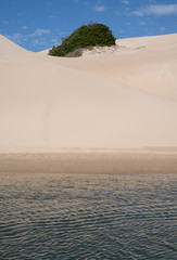 The Alexandria coastal dune fields near Addo / Colchester on the Sunshine Coast in South Africa. The dunes were photographed from the Sundays River.