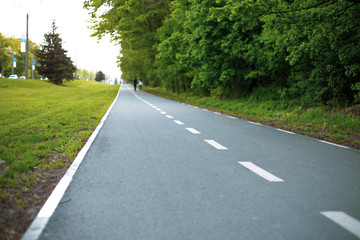 road in the park lines start finish bicycle road stripes  life green road