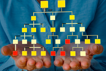 Hands show family tree