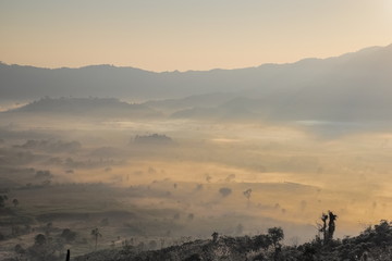 Naklejka na ściany i meble sunrise at Phu Langka Photo Corner View Point, view sea of mist in valley with the hills and yellow sun light in the sky background, Phu Langka Route 1148, Phayao, northern of Thailand.