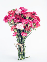 Bunch of carnation flowers on white background