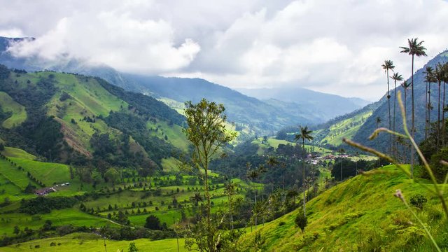 Wax Palms, Cocora Valley, Salento, Quindio, Colombia, Time Lapse, 4k