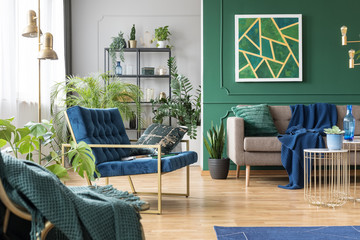 Real photo of green and blue living room interior