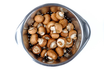 Braune Champignons in Küchensieb