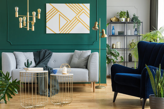 Gray sofa and navy armchair in modern elegant interior