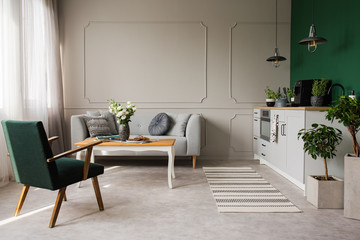 Open space kitchen and living room interior with comfortable couch and retro armchair