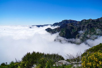 Landscape at Pico de Ruivo in Madeira island in a beautiful sunny day