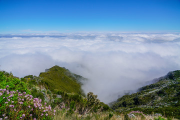 Naklejka na ściany i meble Landscape at Pico de Ruivo in Madeira island in a beautiful sunny day