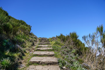 Fototapeta na wymiar Landscape at Pico de Ruivo in Madeira island in a beautiful sunny day