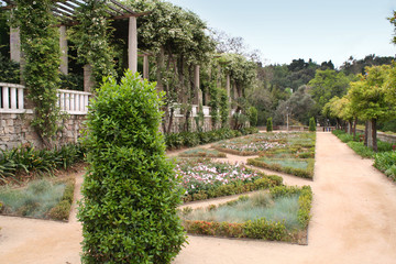 Obraz premium Park des Teatre Grec am Berg Montjuic in Barcelona