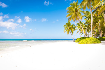 tropical beach at isla saona