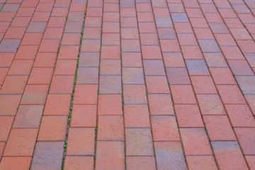 Red Paving slab, background. Pedestrian zone in the park in daylight. Walkway.