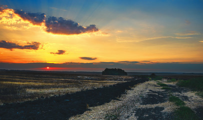 Obraz premium Beautiful view of bare fields after harvesting at sunset