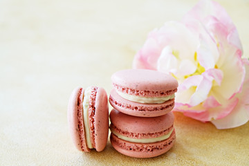 Feminine composition with traditional french macarons sweets and tender bicolor tulip flowers on yellow concrete textured background. Top view, close up, copy space.