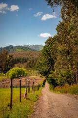 Obraz premium Praderas de campo de la region de la Arucania con cerros, Chile