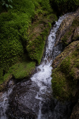 Obraz na płótnie Canvas waterfall in forest