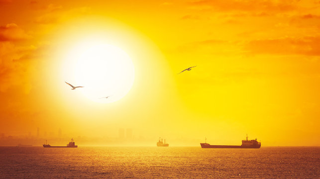 Golden sunset with silhouettes of cargo ships and tankers on skyline.