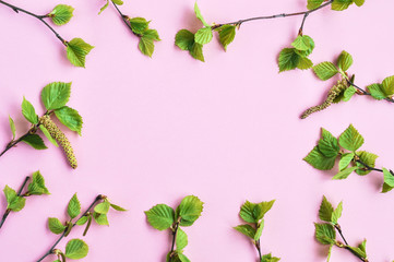 Frame of birch young green leaves on twigs on a pink background. Copyspace
