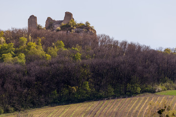 Castle ruins on a hill