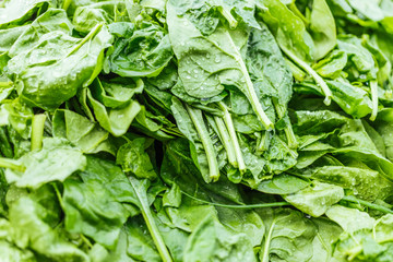 Fresh organic baby spinach at the market