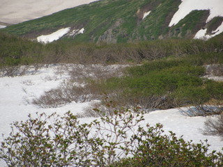 environment