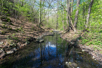 Obraz premium Small creek in the Pilis
