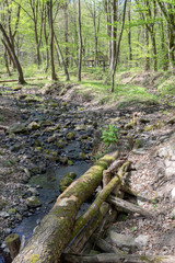 Small creek in the Pilis